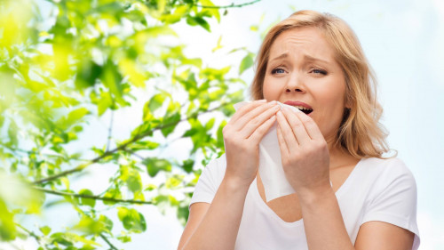 Аллергический ринит (носовые аллергии)